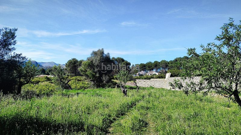 Foto 1f875958-d458-4f1e-a6b6-38b539558236. Terreny residencial a Murla