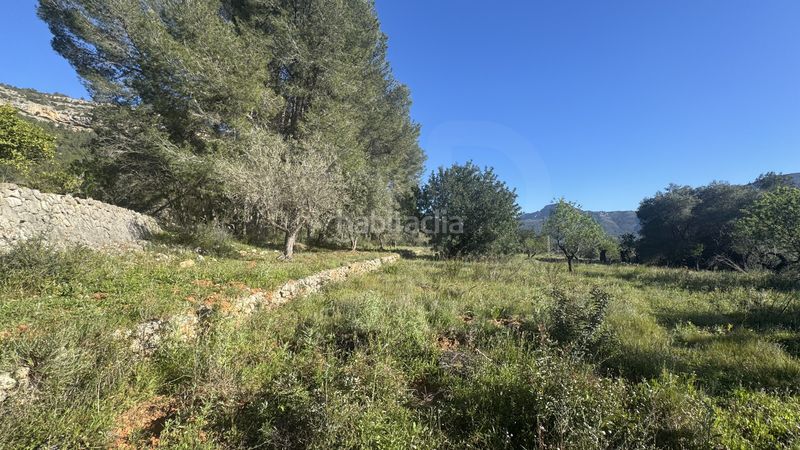 Foto 34795d59-6330-4556-bd83-280a3edcf31d. Terreny residencial a Murla