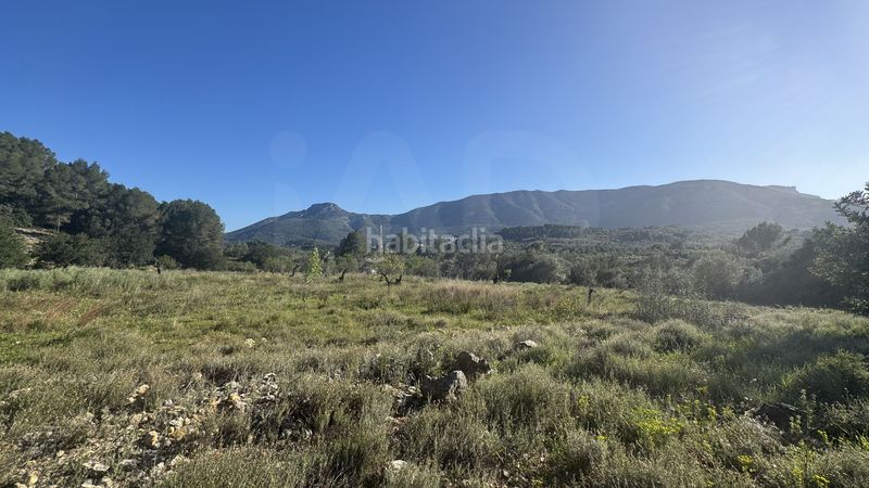Foto 40bf4bd4-d916-4f6e-9574-e5bf5310af0c. Terreny residencial a Murla
