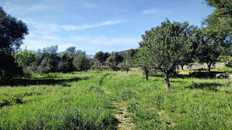 Foto 5bfb27ac-a832-4ce6-ab4e-fef94edf1dc9. Terreny residencial a Murla