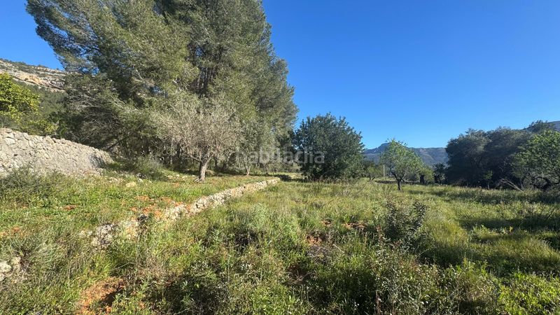 Foto 635f882b-dad2-47c8-ac2b-06e0166bdc05. Terreny residencial a Murla