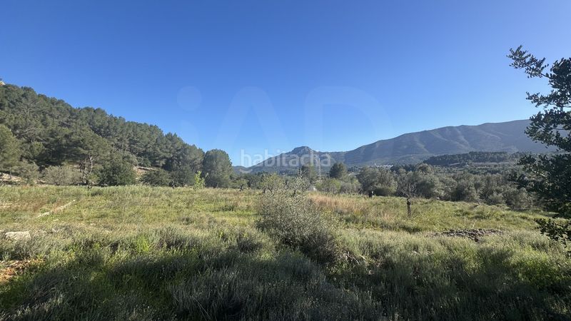 Foto 746b5a5d-3f8f-428f-9abb-44c71c0855d0. Terreny residencial a Murla
