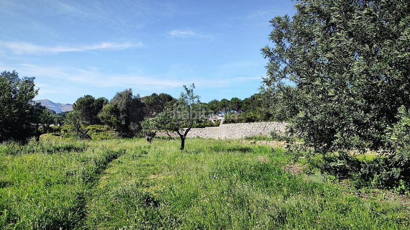 Foto 95d65582-ca08-46ee-9ef0-e46849607883. Terreny residencial a Murla