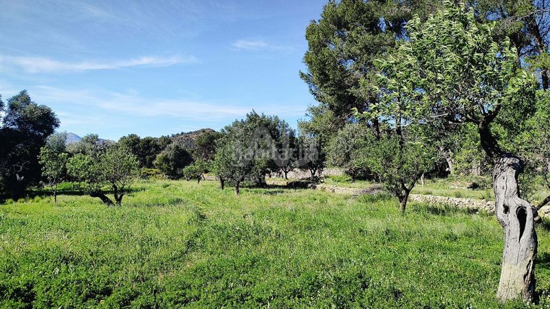 Foto 9e34acdc-ac02-4c95-90f5-8eb05341bffb. Terreny residencial a Murla