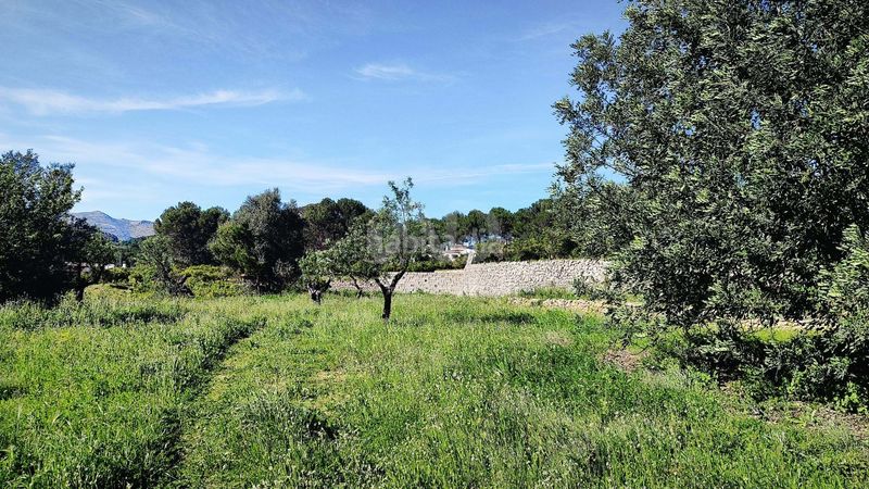 Foto 9e505331-f0b1-49d2-b748-a0fc069a490e. Terreny residencial a Murla