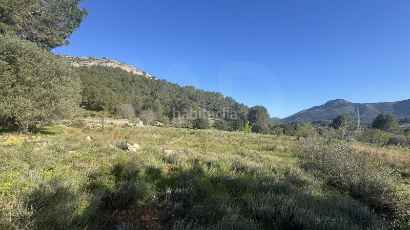 Foto a51d8f90-3d3b-462c-b095-b8b60039a074. Terreny residencial a Murla