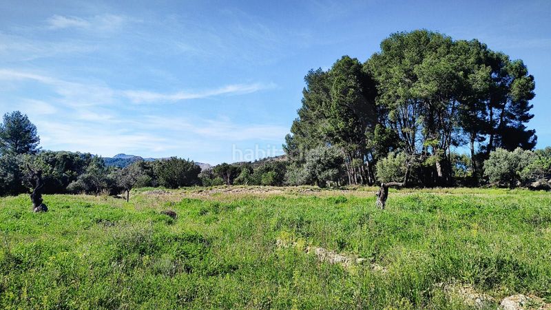 Foto a5f050b4-c935-44d0-92d4-d94e84cbbc9f. Terreny residencial a Murla