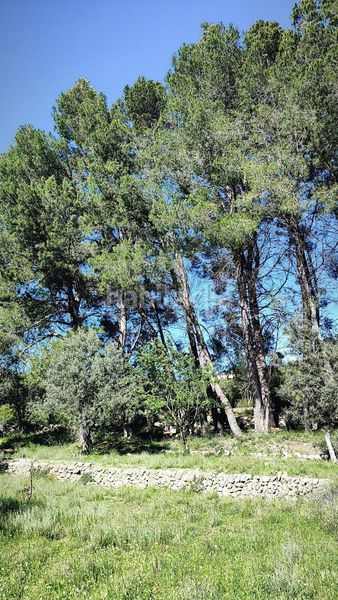 Foto a6463366-81c7-4d86-81ec-46cfc4dbd39e. Terreny residencial a Murla