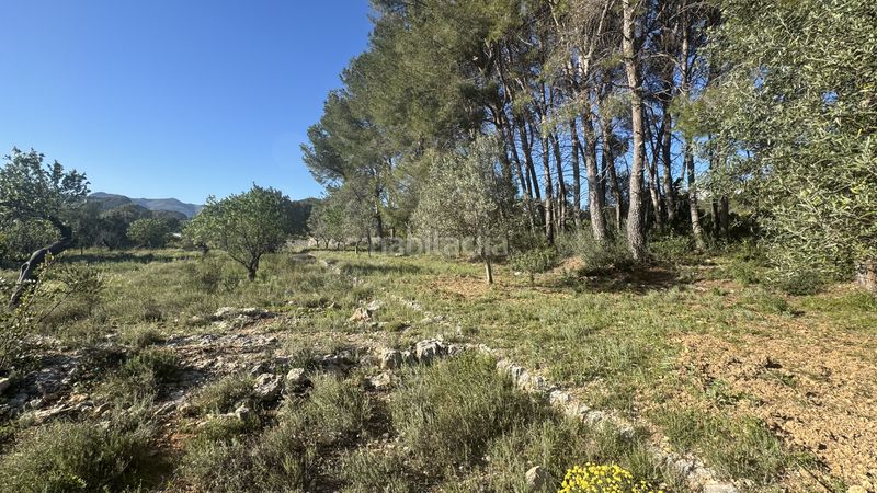 Foto ab0988bc-d265-4a91-9290-18b384d552a7. Terreny residencial a Murla