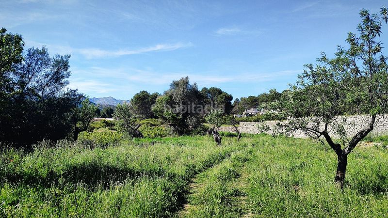 Foto b303478d-d5d7-4244-9a42-e7cd91766e40. Terreny residencial a Murla