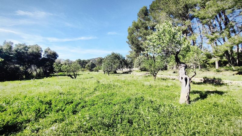 Foto b5313c05-c4f0-4992-9ef8-3527494f6739. Terreny residencial a Murla