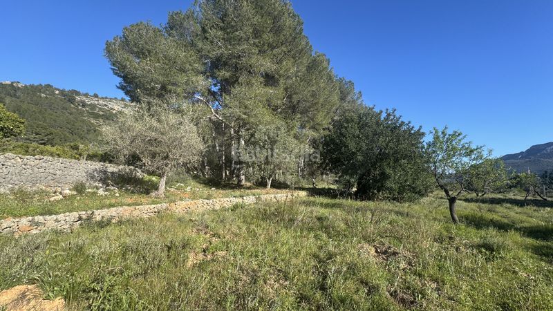 Foto b985b185-c27c-438f-8965-b532ff466031. Terreny residencial a Murla