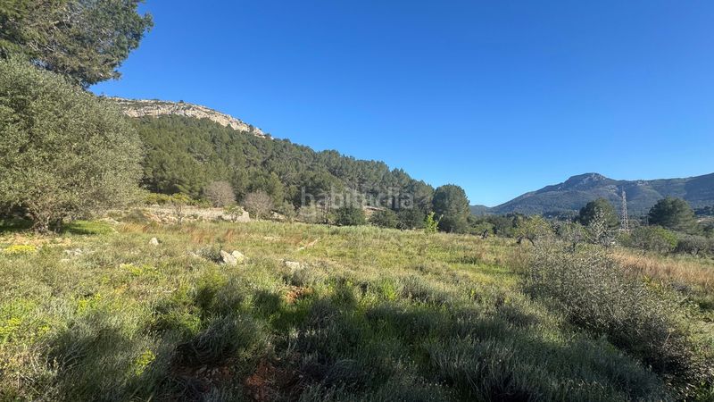 Foto e41d22b8-61b1-4ea2-bcb6-b2117b67e706. Terreny residencial a Murla