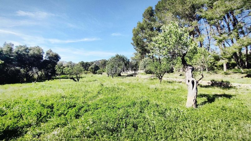 Foto f5b0bd33-d7c3-46b9-a7ac-90ff07650ebf. Terreny residencial a Murla