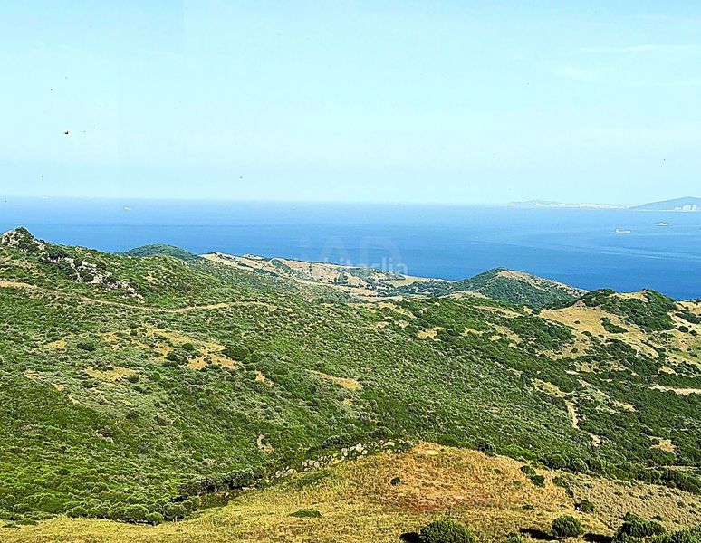 Foto 219df1a1-706a-4b72-b27f-3581969d67d1. Edificio in El Cuartón - El Bujeo Tarifa