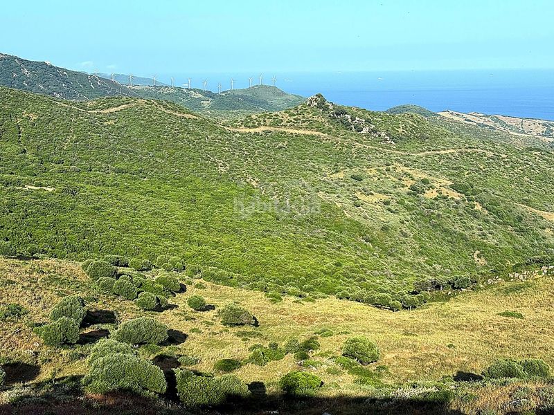 Foto a3528230-0c9b-4f65-905a-4d6d07a2989c. Edificio in El Cuartón - El Bujeo Tarifa