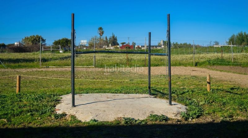 Foto 0a7def38-df08-4cbc-88d3-8148db92eb31. Finca rústica a Almonte Almonte