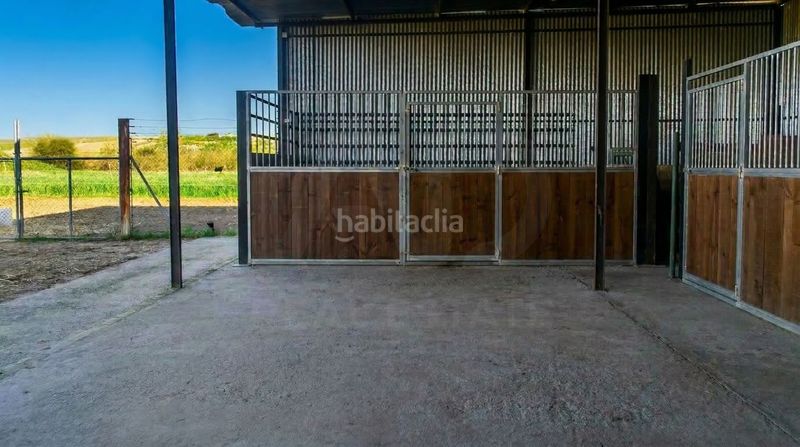 Foto 4fa215be-3732-42fe-9c7d-67fea7e2650d. Finca rústica a Almonte Almonte