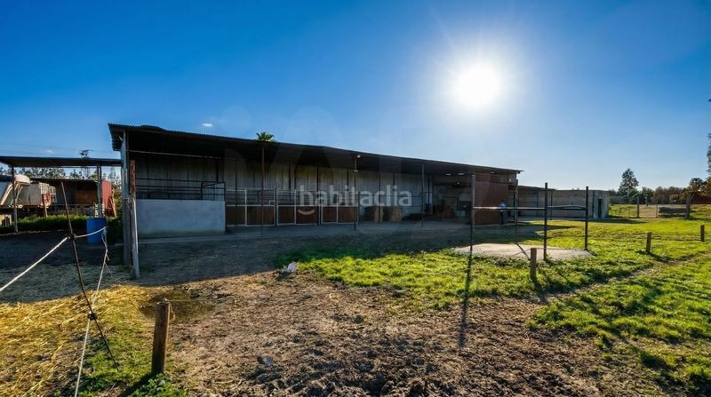Foto afb8e884-de17-4444-9266-3b00e11e4f99. Finca rústica a Almonte Almonte