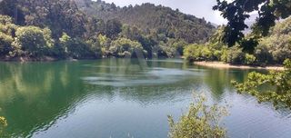 Residential Plot in Cruces