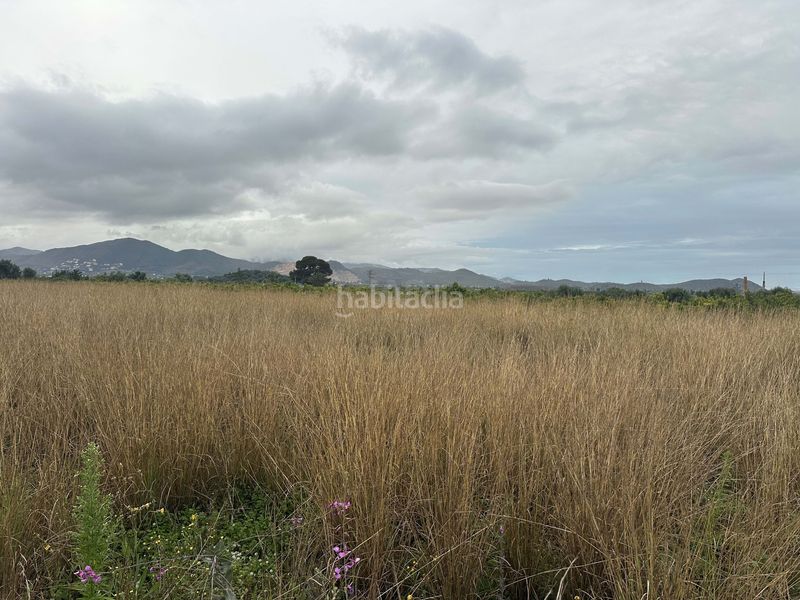 Foto 7376e5e4-b1de-45d2-866d-a6729237bab2. Finca rústica a Pego