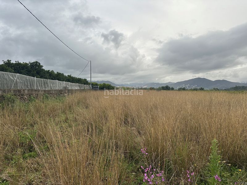 Foto 80764459-966d-43c8-87b2-631a5bb5b63e. Finca rústica a Pego
