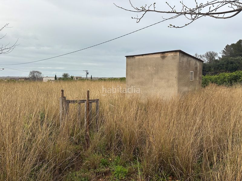 Foto a53d5bb9-f3ac-4073-b88d-cc9a15e32c86. Finca rústica a Pego