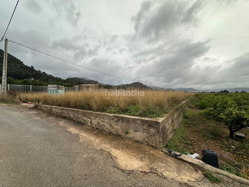 Foto a5ff78ae-65c3-4fbb-aa0f-41d96b2d4e69. Finca rústica a Pego