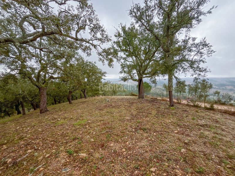 Foto c834bd4d-4be2-4530-8095-d647f9968f46. Finca rústica a ds talenque a Galaroza