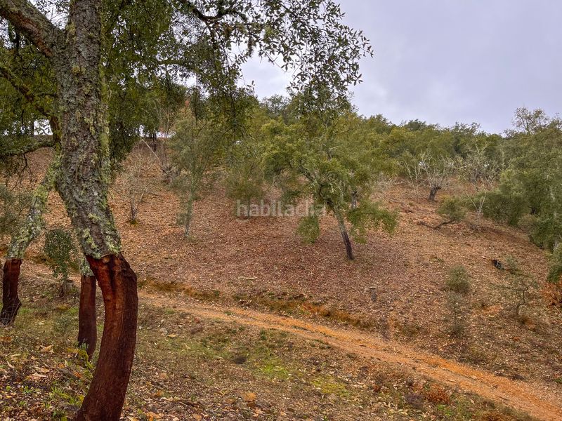 Foto b2710d45-5181-442f-8431-1d440e9df262. Finca rústica en ds talenque en Galaroza