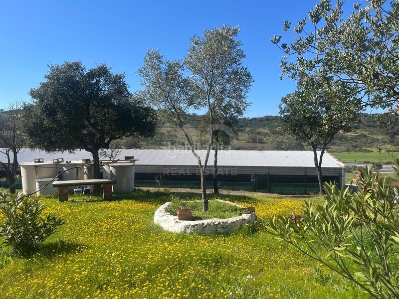 Foto 004be83d-0255-49c4-9318-1275585cc53e. Finca rústica a Valverde del Camino