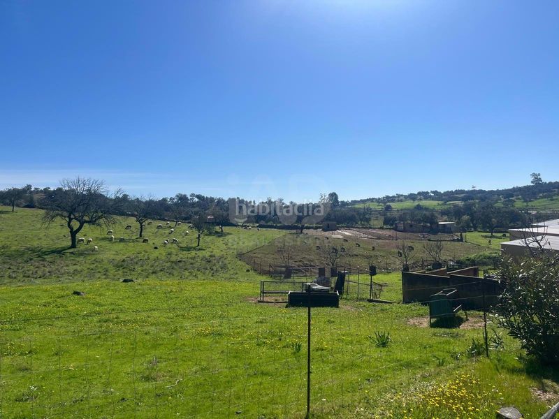 Foto 0370a5f0-f0a8-43b2-a5cd-0e04fd7e922d. Finca rústica a Valverde del Camino