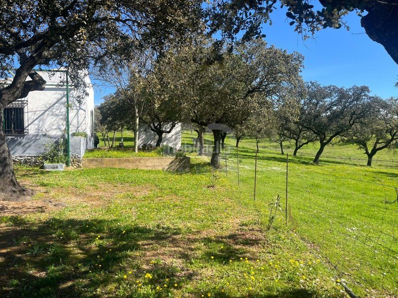 Foto 12368d72-eed0-4171-b14b-db8a90200634. Finca rústica a Valverde del Camino