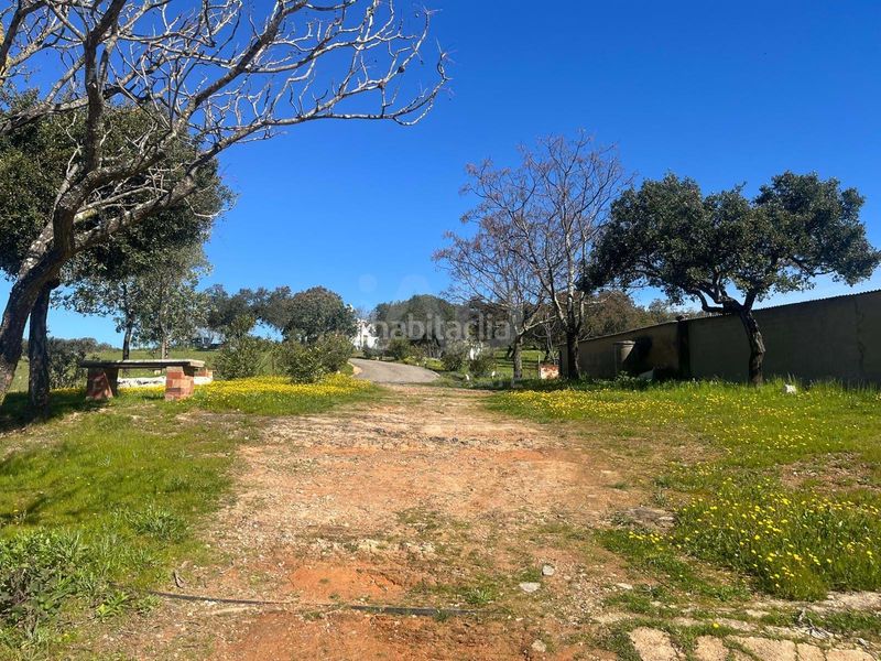 Foto 1e1f1a5c-3e36-466a-baa2-f5bb783dfe88. Finca rústica a Valverde del Camino