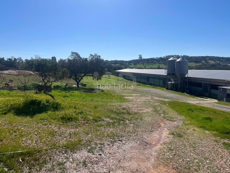 Foto 1e9e5b3c-a29f-4411-a5e1-35b8904c8c62. Finca rústica a Valverde del Camino