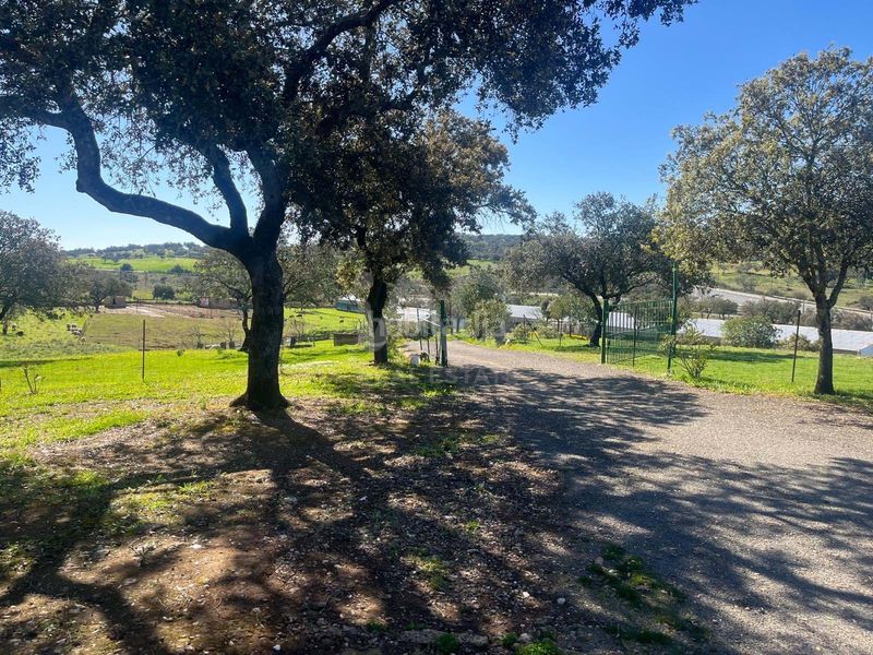 Foto 2a21fcc6-0310-4a5c-8544-3f0fdf7b3bdd. Finca rústica a Valverde del Camino