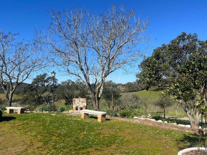 Foto 2b112cf8-8811-48e2-8b67-4c13f4d5ff02. Finca rústica a Valverde del Camino