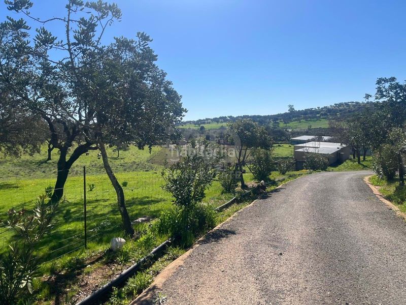 Foto 2f16e118-cfc7-4074-a082-43ef853d20db. Finca rústica a Valverde del Camino