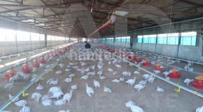 Foto 353d64a2-f453-4b34-ad4c-44de9c3cc5c0. Finca rústica a Valverde del Camino