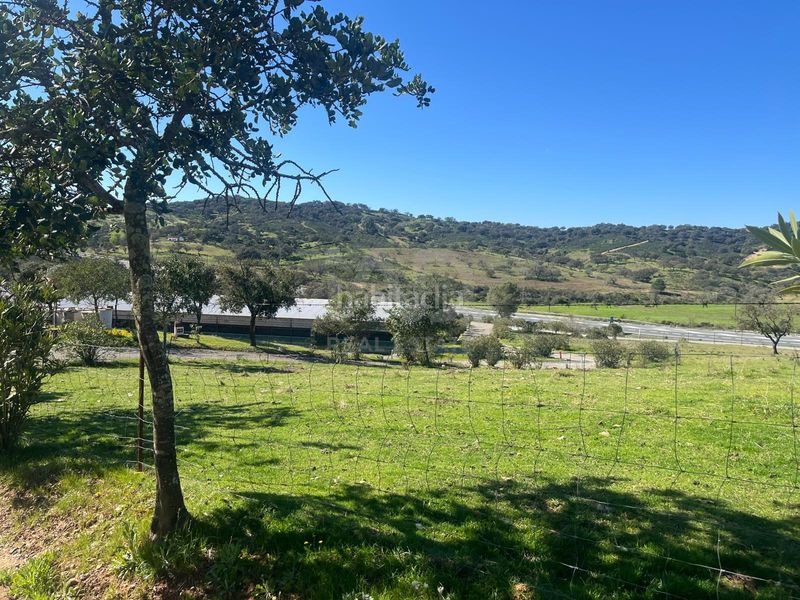 Foto 451eb15d-a212-46ef-9349-63c86ca115cb. Finca rústica a Valverde del Camino