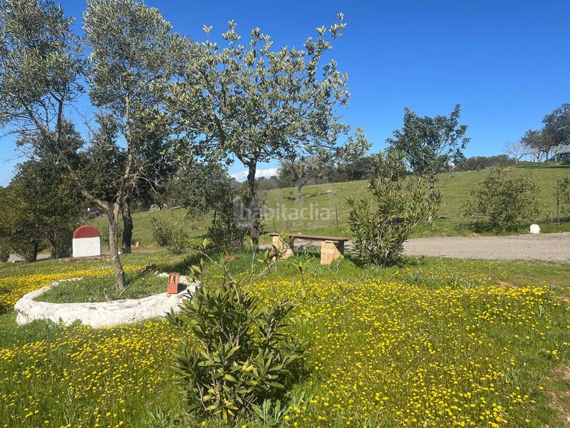 Foto 6b7171d4-e52f-4af9-8f8f-f7c33cd1aba0. Finca rústica a Valverde del Camino