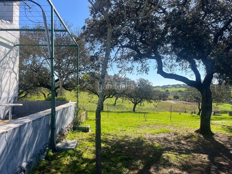 Foto 7863d64d-a648-4941-a9b4-179463095583. Finca rústica a Valverde del Camino