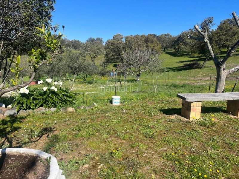 Foto 7ae87f44-fe4e-427a-8fb3-fed0376d0ee1. Finca rústica a Valverde del Camino