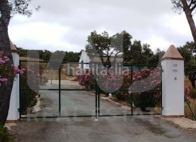 Foto 7f413848-3595-445e-a047-9a4d89c87bd6. Finca rústica a Valverde del Camino