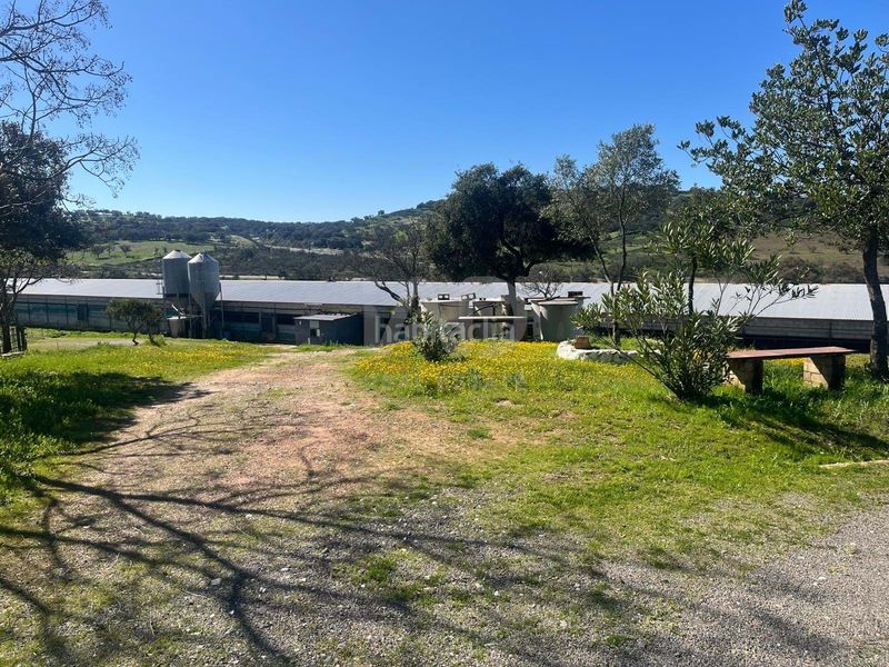 Foto 95f5faa6-b74b-43a9-a62b-c366b9106adf. Finca rústica a Valverde del Camino