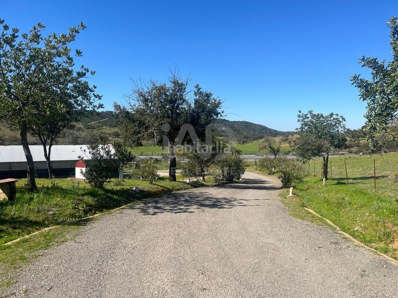 Foto a0766b3d-8ae9-4360-8a55-23cc73e61c6f. Finca rústica a Valverde del Camino