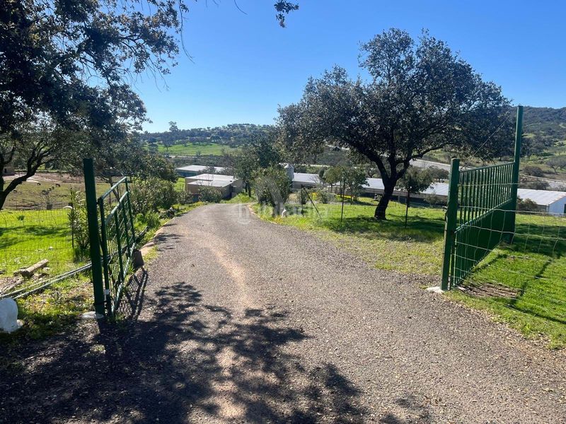 Foto a4ce62ef-9311-4f59-9362-8b7da4f43fd2. Finca rústica a Valverde del Camino