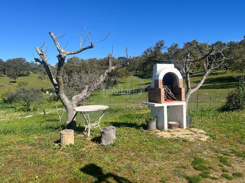 Foto a6d4ce15-3a30-49c4-b35a-28035b233be1. Finca rústica a Valverde del Camino