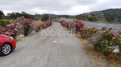 Foto a7f121d7-607d-4882-95e3-0f9086a27c8e. Finca rústica a Valverde del Camino