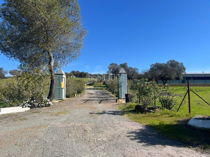 Foto b1b5c03d-bbae-4226-aa43-17defcecec0a. Finca rústica a Valverde del Camino